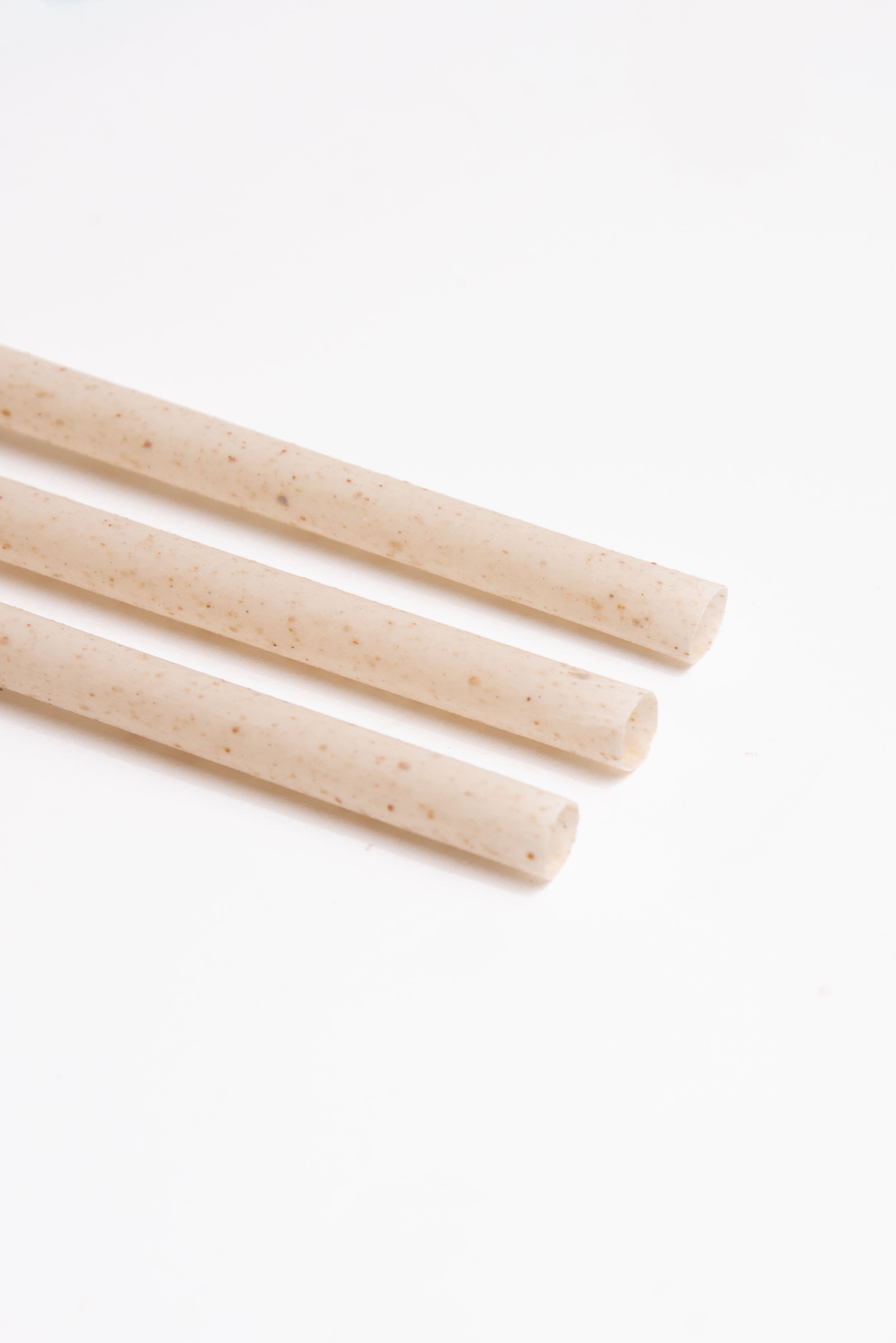 Straws Back Home Compostable Agave Straws