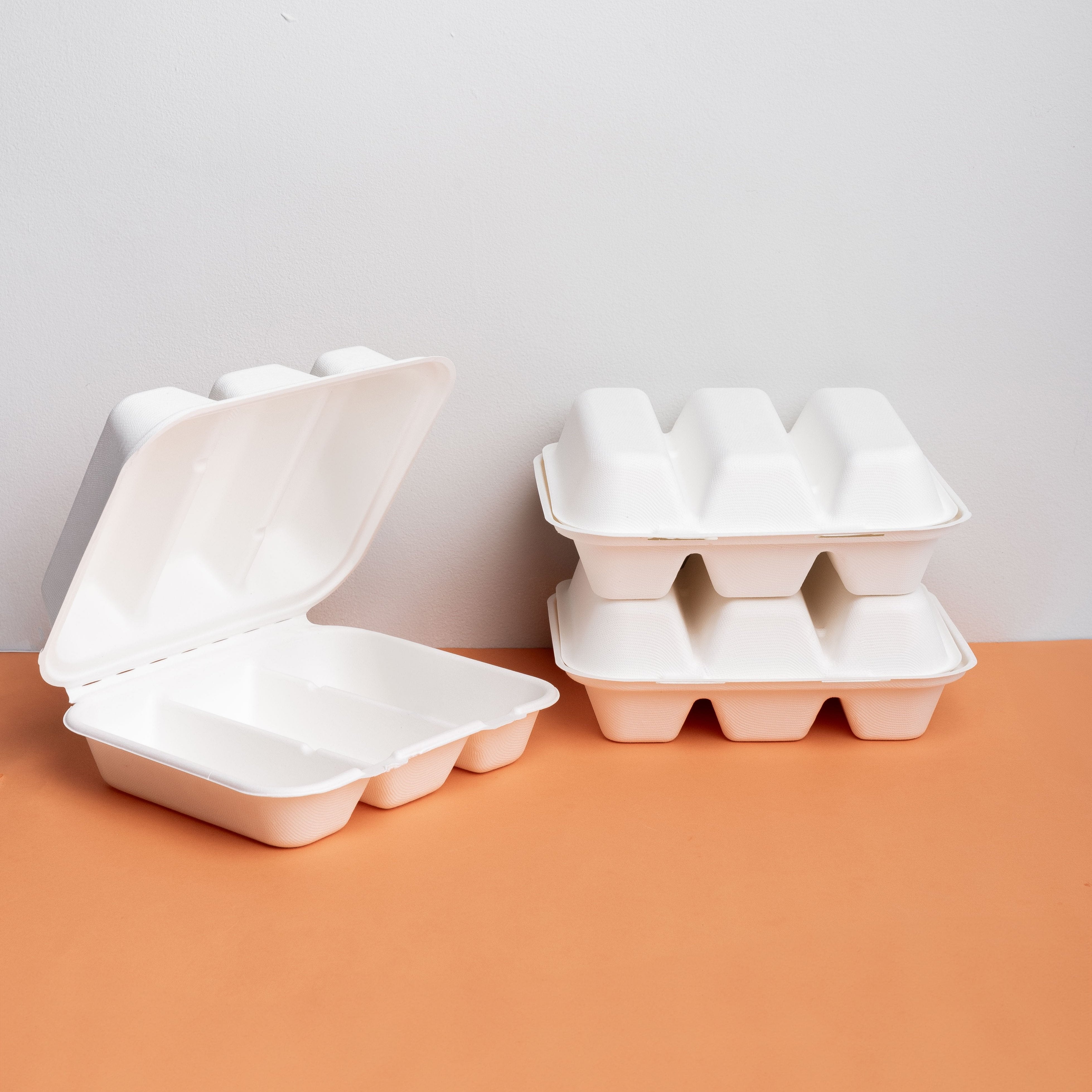 Agave 11株セット 9x8 Three-Taco Sugarcane Clamshell - 200 count